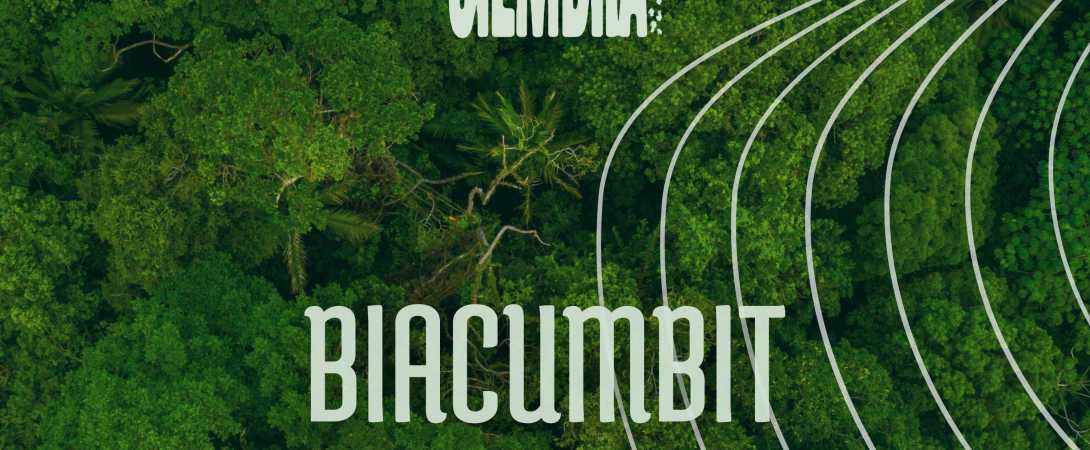 Biacumbit primer sencillo del álbum. 